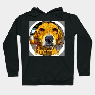 Caramel the famous dog of Brazil, victim of torture and death in a supermarket Hoodie